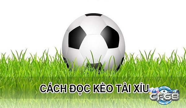 Cách đọc kèo tài xỉu 4 trái cơ bản và dễ hiểu nhất 